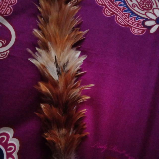 Kemoceng/ Sulak Bulu Ayam Rrt