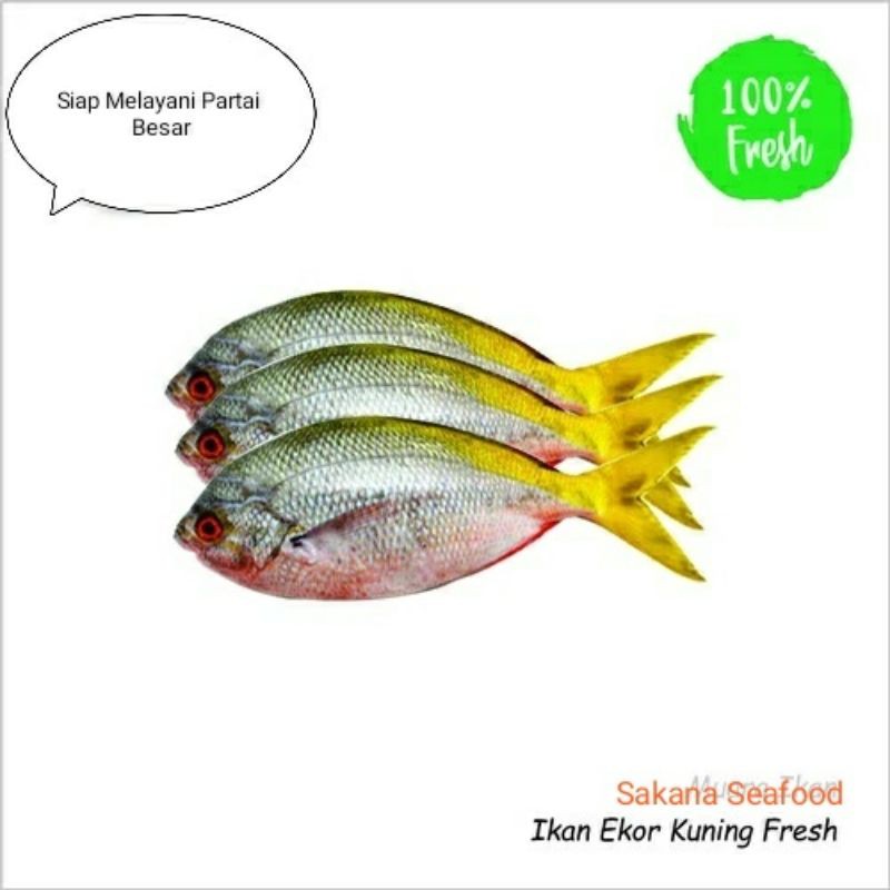 

Ikan Ekor Kuning Segar 1kg