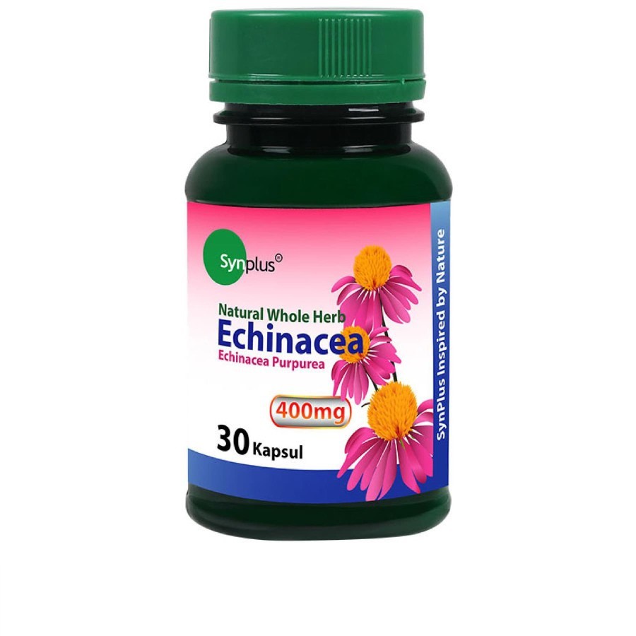 Synplus Echinacea