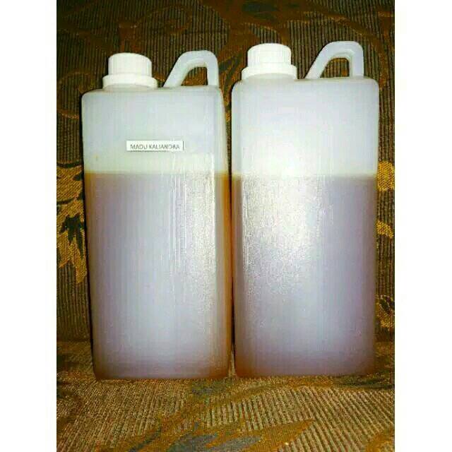 

Madu kaliandra