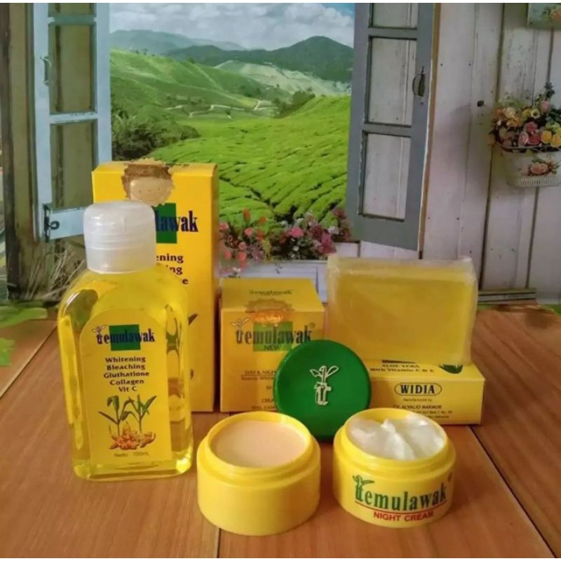 Paket Cream Temulawak Original Plus Sabun dan Toner - Paket Krim Temulawak 4in1