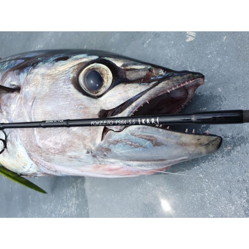 Joran Zenaq Fokeeto Ikari FS64-5.5 Offshore Jigging Rod Handmade in Jepang NEW. Spinning PE 1.5~3