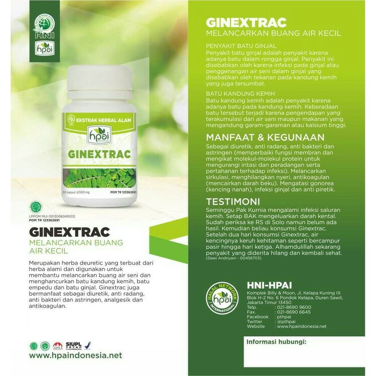 Kapsul Herbal Infeksi Saluran Kemih Batu Ginjal Gonoroe Ginextrac Hpai Indonesia