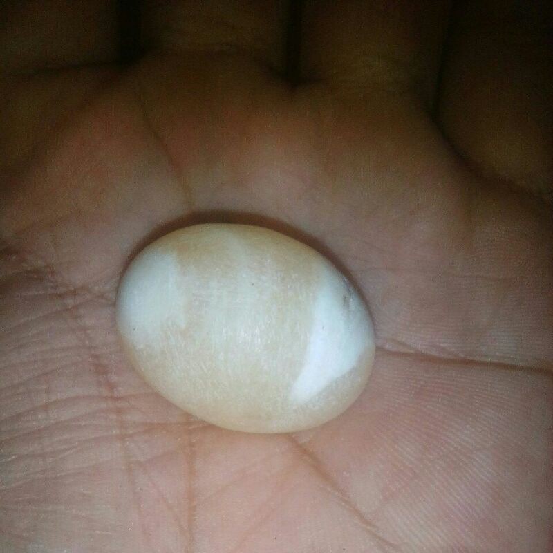 batu mustika mani gajah  temuan