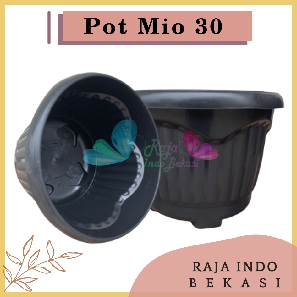 Pot Shallom Mio 30 Hitam Pot Bunga Plastik Tebal Murah Besar Kuat Motif Model Belimbing 30 cm Putih Hitam Selusin Lusinan Tebal - SHALLOM MIO 30 pot bunga bulat besar tebal murah