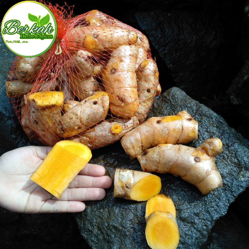 

Temulawak Segar 1kg (Curcuma) Temulawak 1Kg