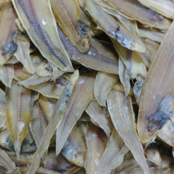 

ikan asin lidah besar