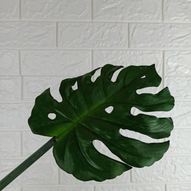 Bunga monstera kecil / bunga plastik/ daun plastik