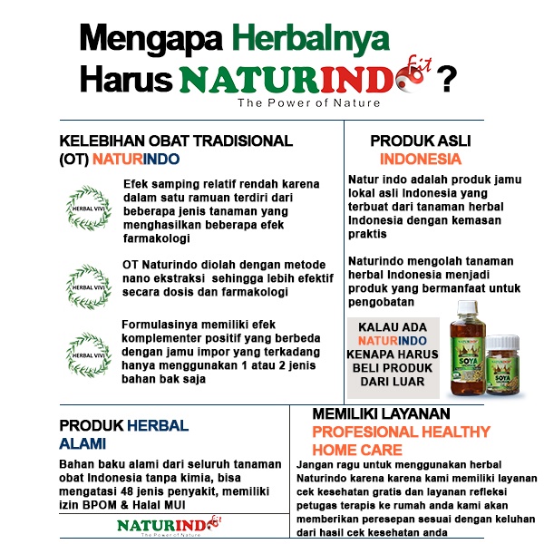 VERMIFIT Obat Herbal Alami Ampuh Menyembuhkan Sakit Kepala-8