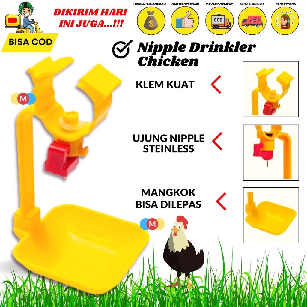 Niple Layer Cup Niple Layer Mangkok Niple Ayam Petelur - MEGHANAID