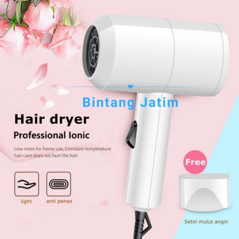 Alat Pengering Rambut Portable/Professional Ionic Hair Dryer