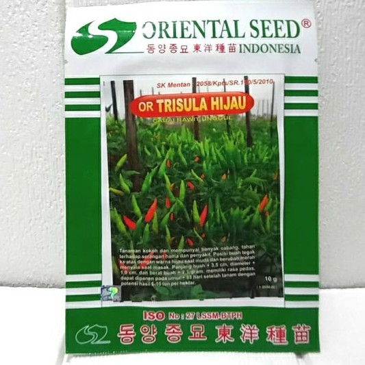 Benih Cabe Rawit Hijau OR TRISULA HIJAU Oriental Seed Kemasan 10 Gram Isi 2000 Biji