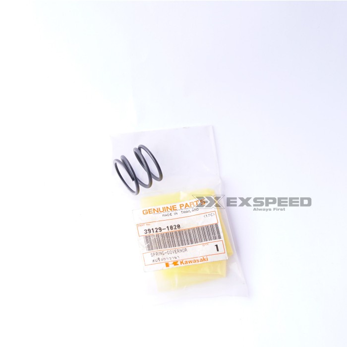 SPRING-GOVERNOR 39129 1020