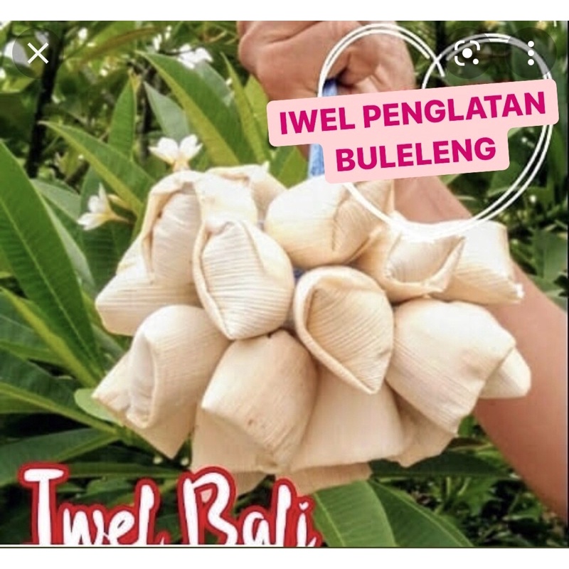 

IWEL PENGLATAN BULELENG