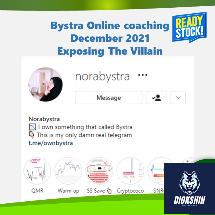 BUY 1 GET 1 Nora Bystra Online Mentorship 2021 - Exposing The Villain Video Course Forex