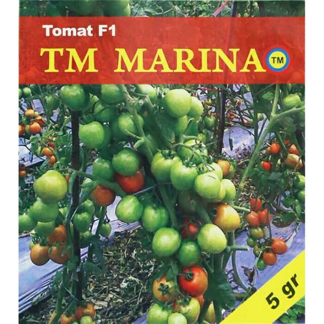 TM Marina F1 volume 5 gram benih tomat