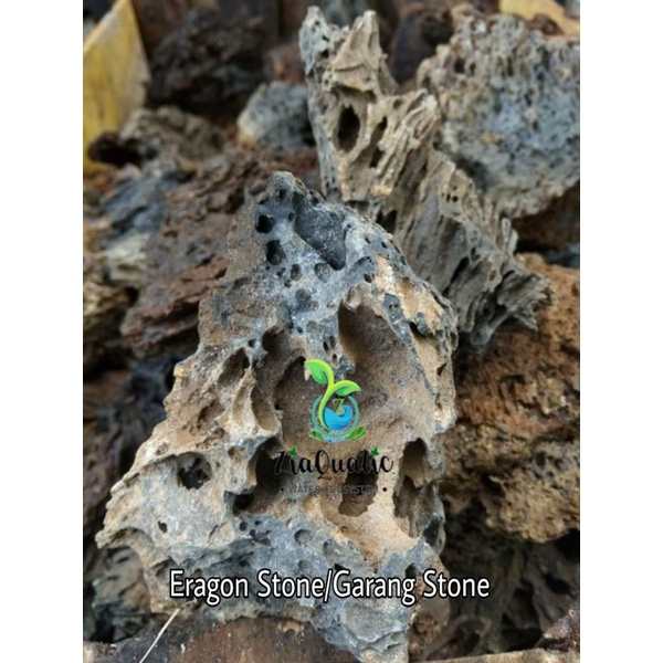 Batu Aquascape/Batu Garang/Eragon Stone/Hiasan Aquarium/Iwagumi/Natural Aquascape