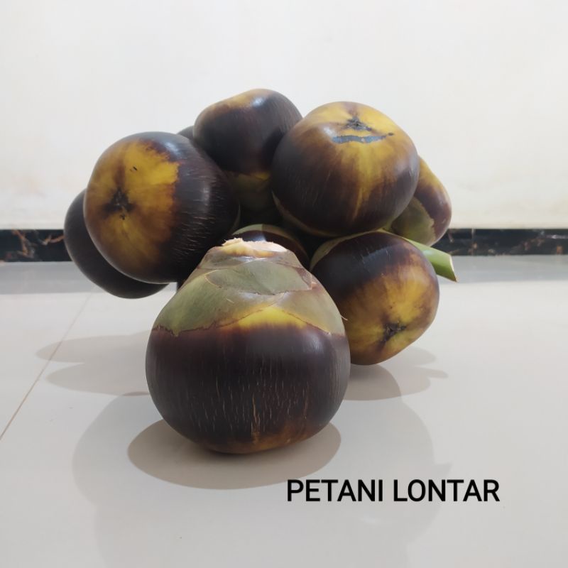 

BUAH LONTAR, 1 Buah bulat ( isi 3 biji buah )
