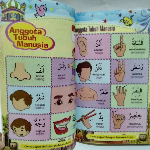 Buku Anak Cara Cepat Mengenal Bahasa Arab Berwarna