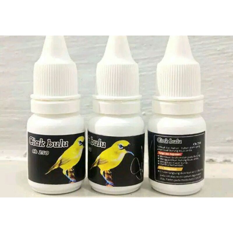 ciak bulu dextro 87