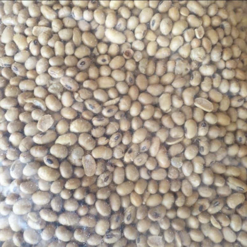 

Kacang Kedele 250 gram