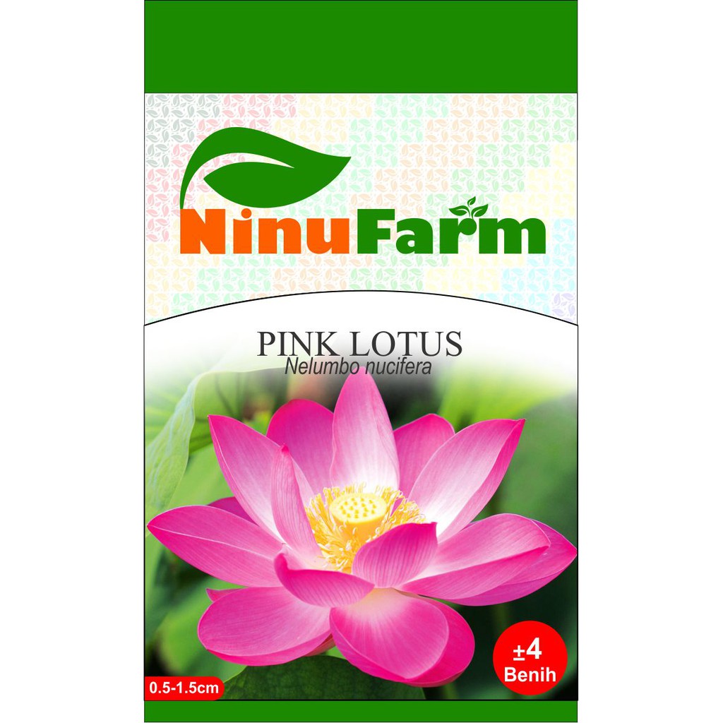 Benih Ninufarm Pink Lotus 4Seeds