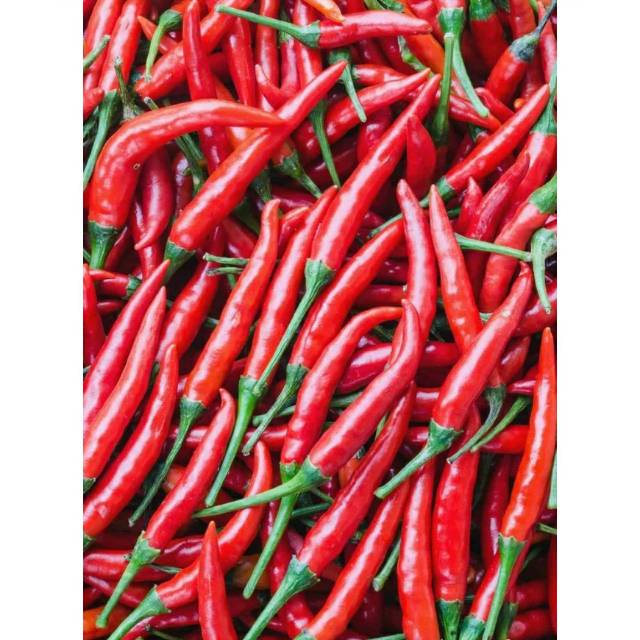 

CABE MERAH TW - BUMBU MASAK 200 GRAM - RINDU SAYURAN CIMAHI