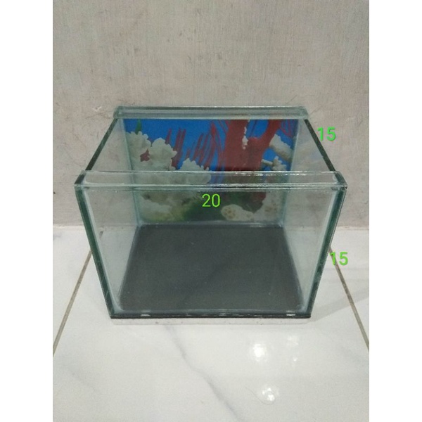 Jual Aquarium 20x15x15 Aquarium Mini Akuarium Baby Chana Louhan Cupang