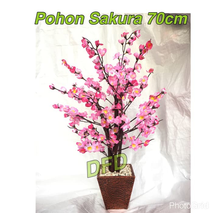 

Best Seller!! Pohon Angpao / Bunga Sakura / Pohon Meihua ( Uk : 70 Cm )
