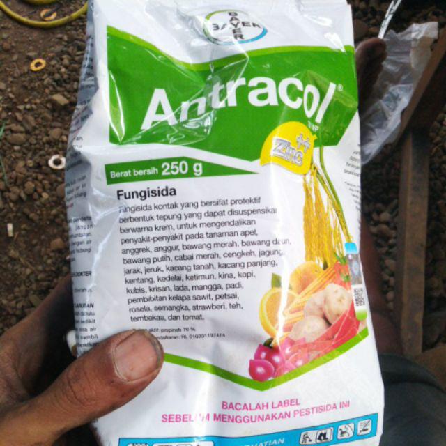 [bisa Cod] Fungisida Antracol 250 Gr Obat Tanaman Obat Jamur Obat Anggrek