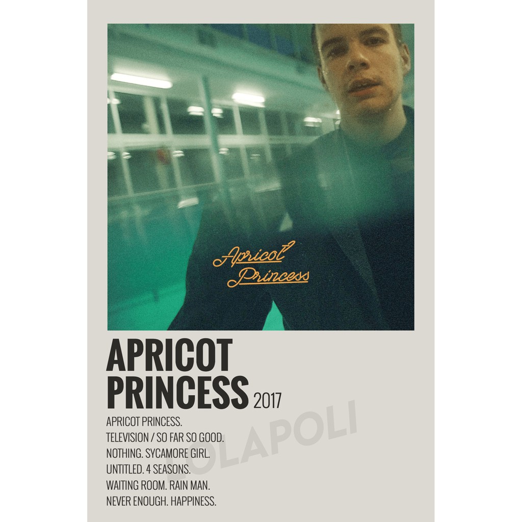 Poster Cover Album Apricot Princess - Rex Orange County