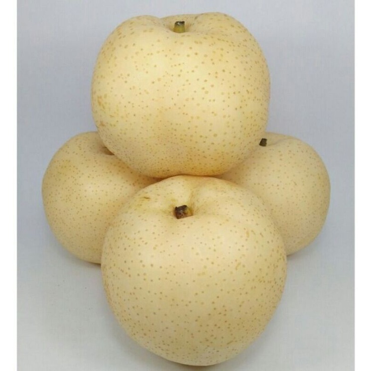 

Pear Madu Seger 500g