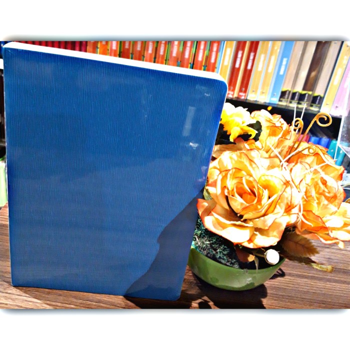

Sale Front Notebook Ukuran A5 Dv79 - A501 Toothpick Grain Light Blue Berkualitas
