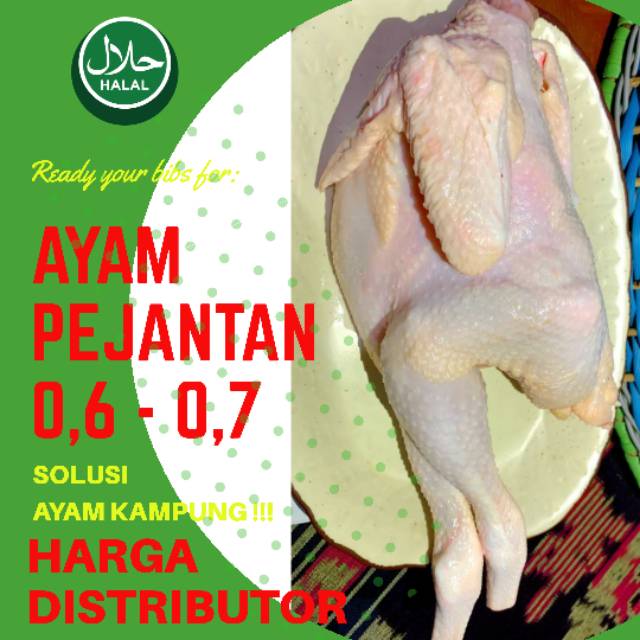 

Ayam Pejantan Fresh 600 - 700 Gram