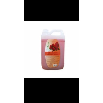 acl shampoo 5 liter / sampo strawberry