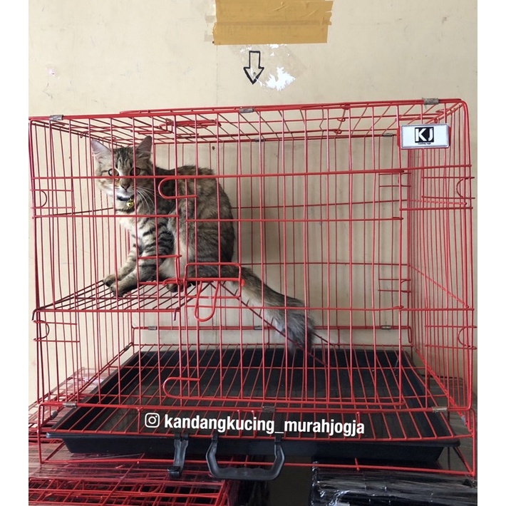 KANDANG KUCING TINGKAT 1 UKURAN 60-1