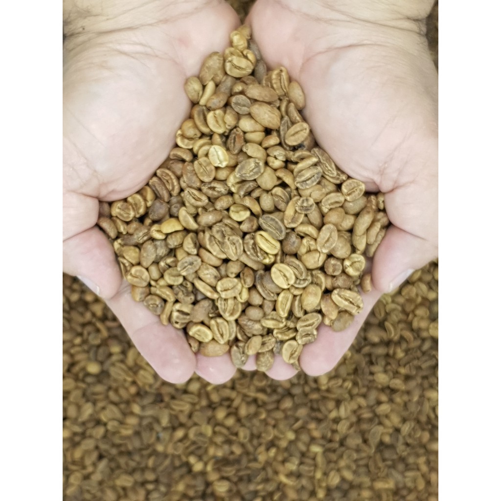 

Kopi Arabika Wine Green Bean Aceh Gayo 1kg Grade 1 Mattin Coffee