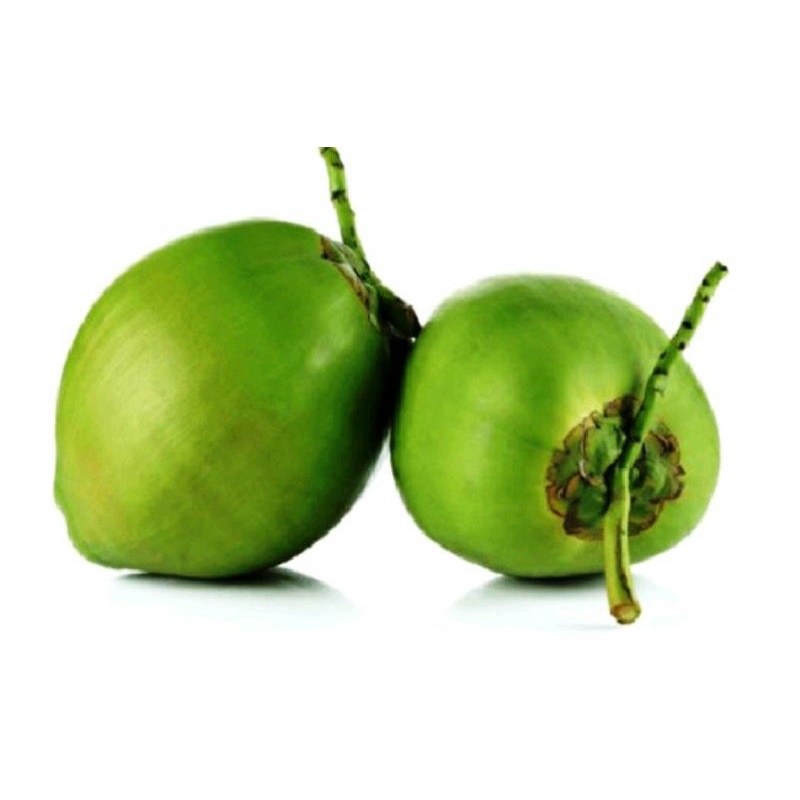 

kelapa muda (Degan)