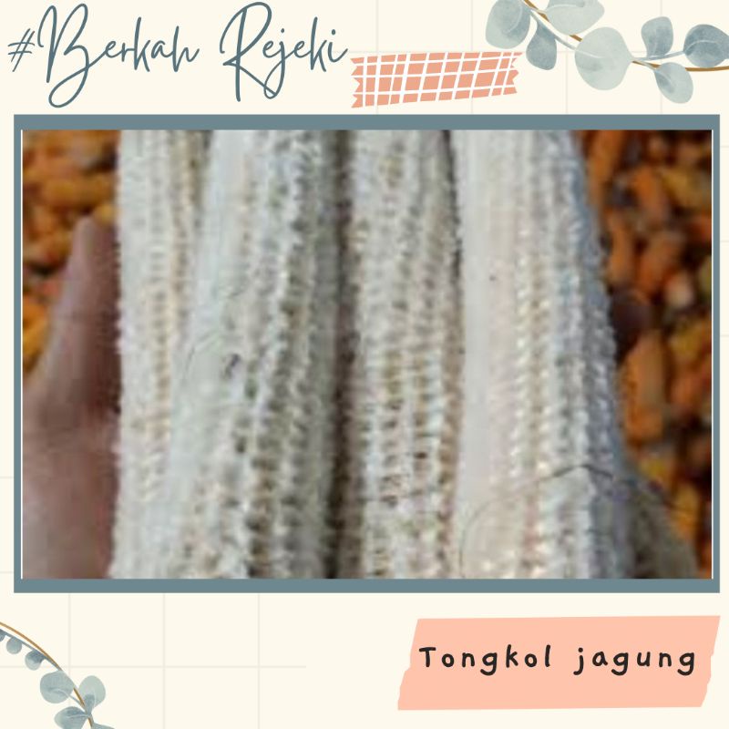 TONGKOL JAGUNG/BONGGOL JAGUNG/JANGGEL JAGUNG KERING KEMASAN 1KG TERMURAH