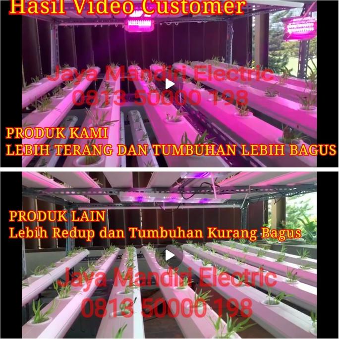 Lampu Uv 50Watt Tumbuhan Set / Lampu Iodine 50W Tanaman 50 Watt