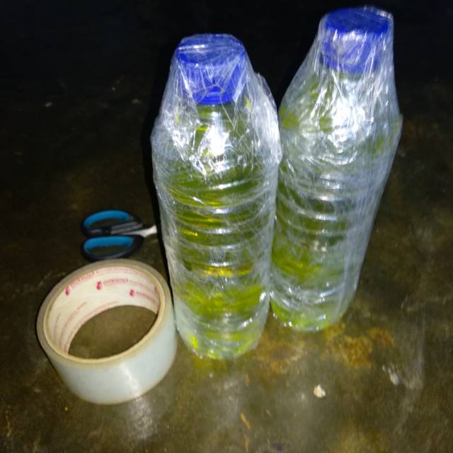 Minyak kayu putih murni