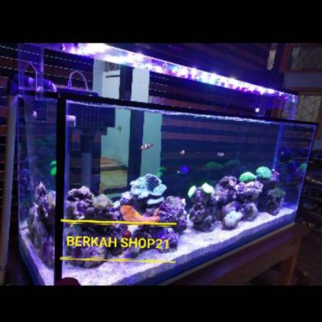 Lampu Hpl Aquarium Air Laut Reef Lighting 50 110 Cm 100 Watt 3