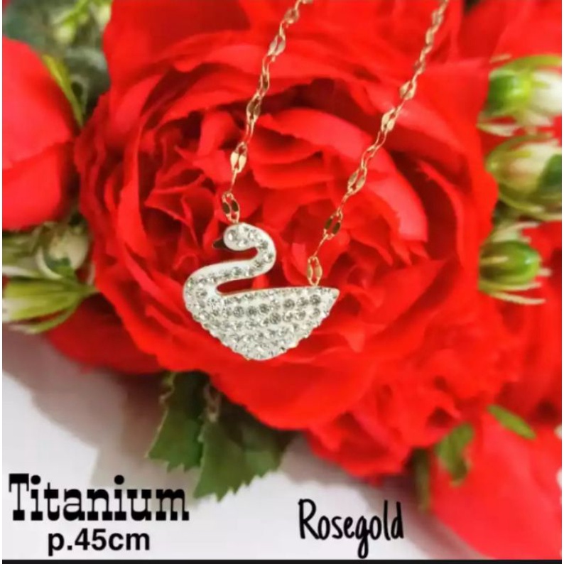 Stainless Steel Kalung Rantai Tunggal untuk Wanita Perhiasan fashion desain