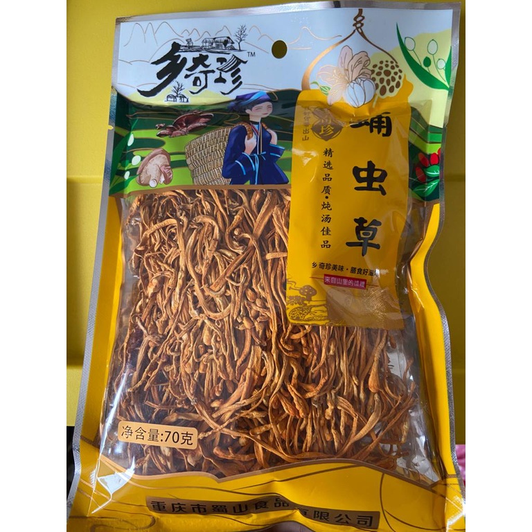 

chinese caterpillar fungus 蛹虫草