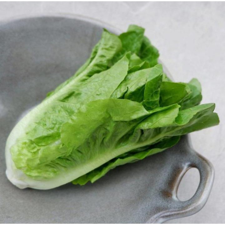 

Baby Romaine Organik 250gr