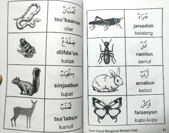 Semut dalam bahasa arab