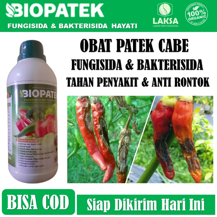Biopatek 500 ML Obat Semprot Atasi Hama Patek Cabe - Obat Patek Cabe Paling Ampuh Biopatek - Fungisi