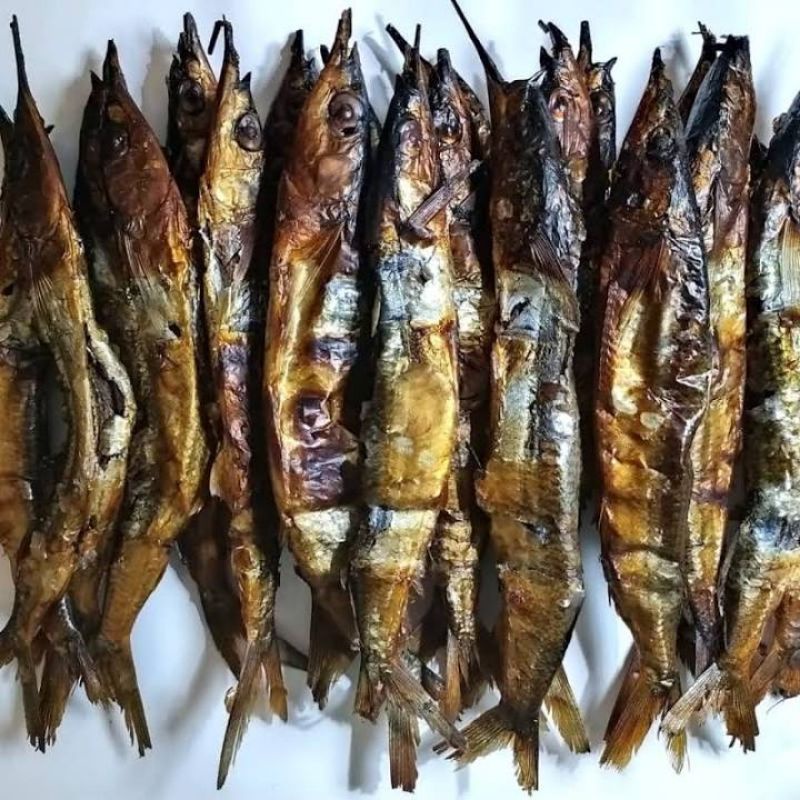 

IKAN ROA (SAGELA GORONTALO)