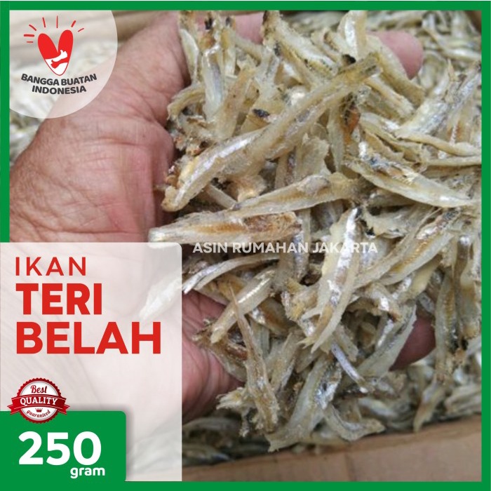 

PROMO Ikan Teri Belah 250 Gram / Ikan Asin Teri Jengki Belah