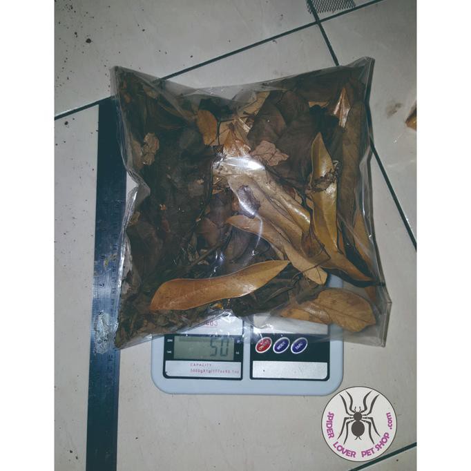

Daun Kering (untuk makanan kecoak dan isopoda)